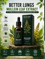 Load image into Gallery viewer, Better Lungs – Extrait de feuille de molène
